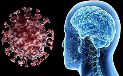 Антиген гриппа A / B Быстрый тест: Omicron имеет три характеристики